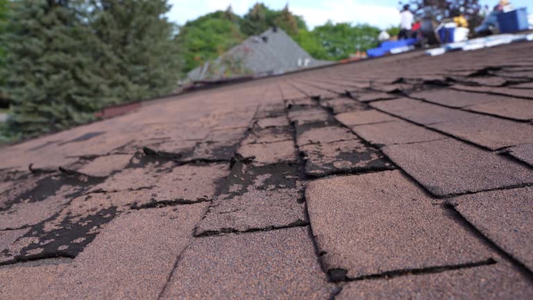 Asphalt Shingles Roofing in Mineola, NY