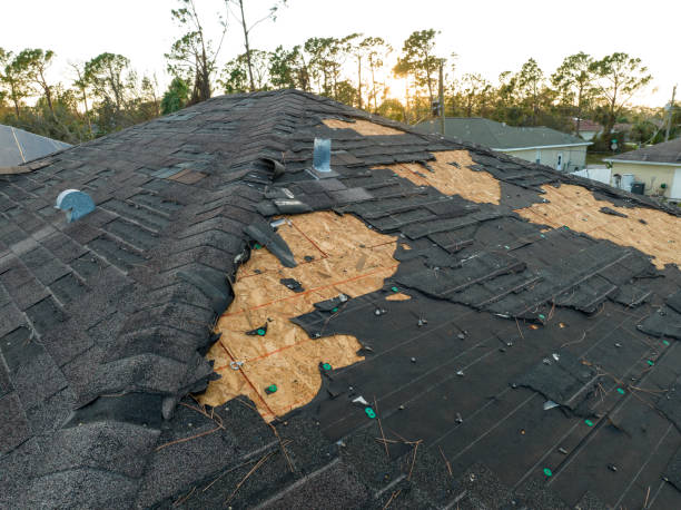 Best Roof Ventilation Installation  in Mineola, NY